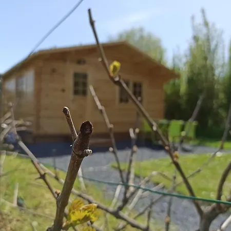 Vakantiehuis Les Du Fliers A Verton Meubles De Tourisme Classes 2 Etoiles Berck