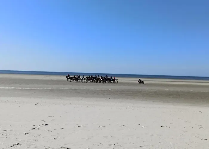Entre Et Campagne Les Du Fliers * Berck