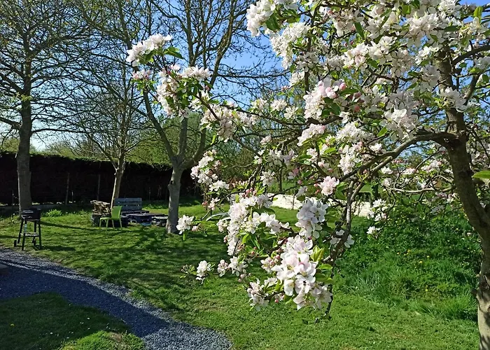 Entre Et Campagne Les Du Fliers Hébergement de vacances *